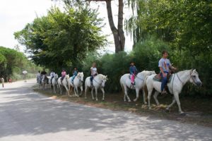 Ippoturismo, a cavallo dalle Valli di Comacchio alle saline di Cervia 