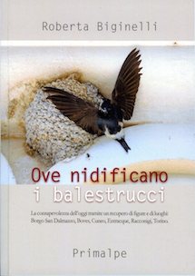 Roberta Biginelli, quando la memoria si fa scrittura