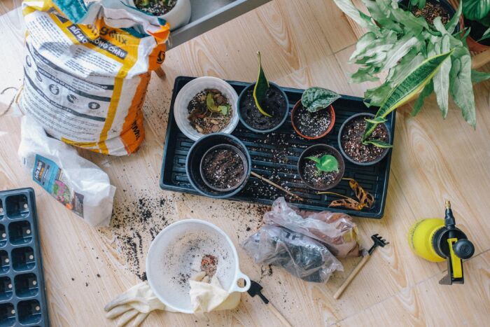 Art & Show-Torna Arti e Horti, mostra mercato del vivere Country