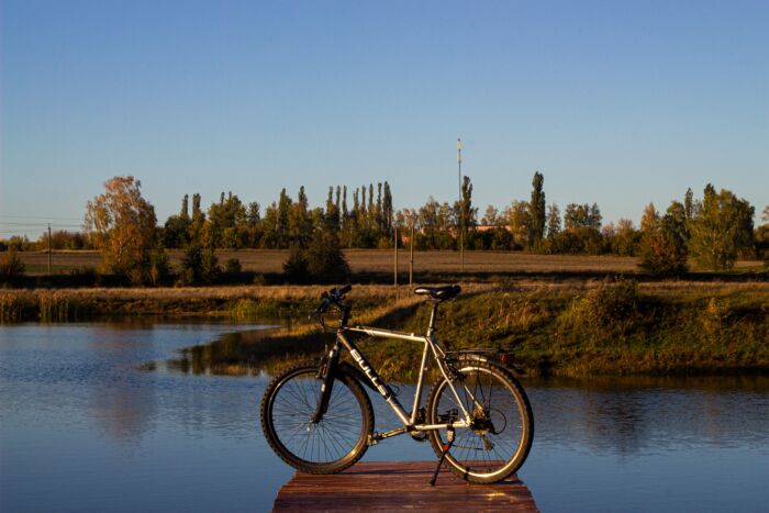 Immagine di copertina