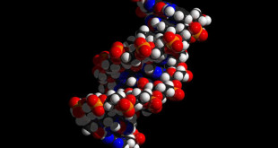 Pronta lettura del DNA: un nuovo algoritmo