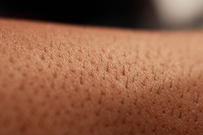 Un materiale che imita il tessuto umano