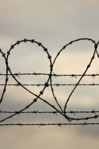 Stenosi aortica, una malattia sottovalutata