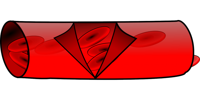 Immagine di copertina