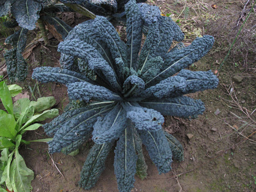 Immagine di copertina