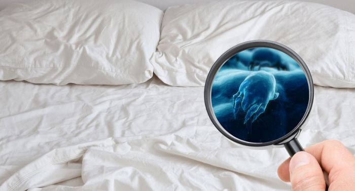 Il miglior rimedio naturale contro gli acari della polvere? La prevenzione