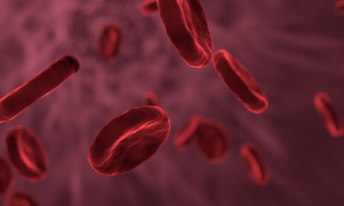 Tumori del sangue da colpire selettivamente: facciamo il punto