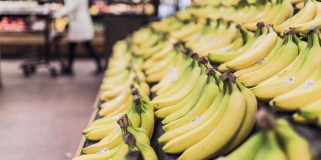 Alimenti 10 e lode. Banana: il frutto diffuso che fa bene ai muscoli