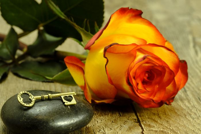 Chiudere il cuore: è tanto grave quanto fermare la respirazione