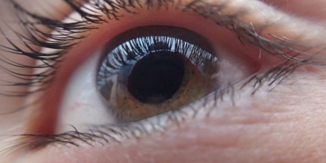 Colliri a base di Cannabis: da utilizzare contro il glaucoma?