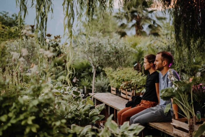 Alla scoperta delle erbe selvatiche: un’immersione nella natura e nei suoi poteri rigeneranti