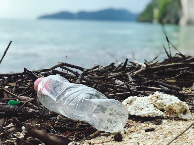 Contaminazioni alimentari: quante microplastiche finiscono nei nostri piatti?