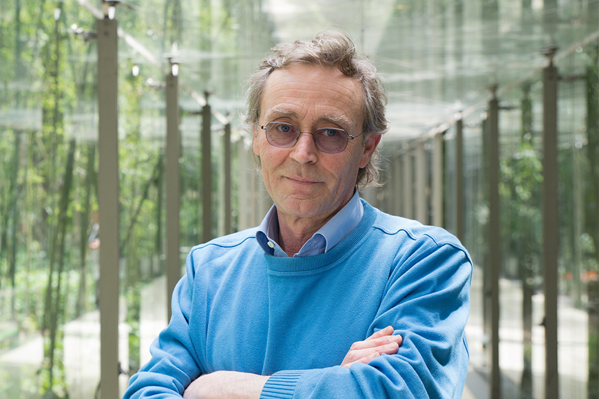 Andrea Vitali, una saga familiare nella provincia bresciana