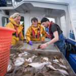 Il lato oscuro della pesca industriale